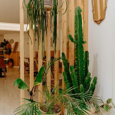 Hotel Palm Boutique